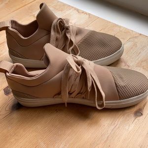 *STEVE MADDEN SNEAKER*